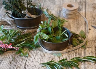 ritae spices