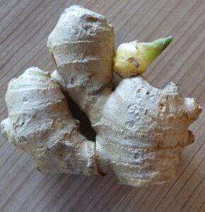 alsen ginger