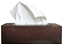 Podzimní nachlazení udeří nenápadně: bylinky, které se tradičně používají při prvních příznacích vargazs handkerchief