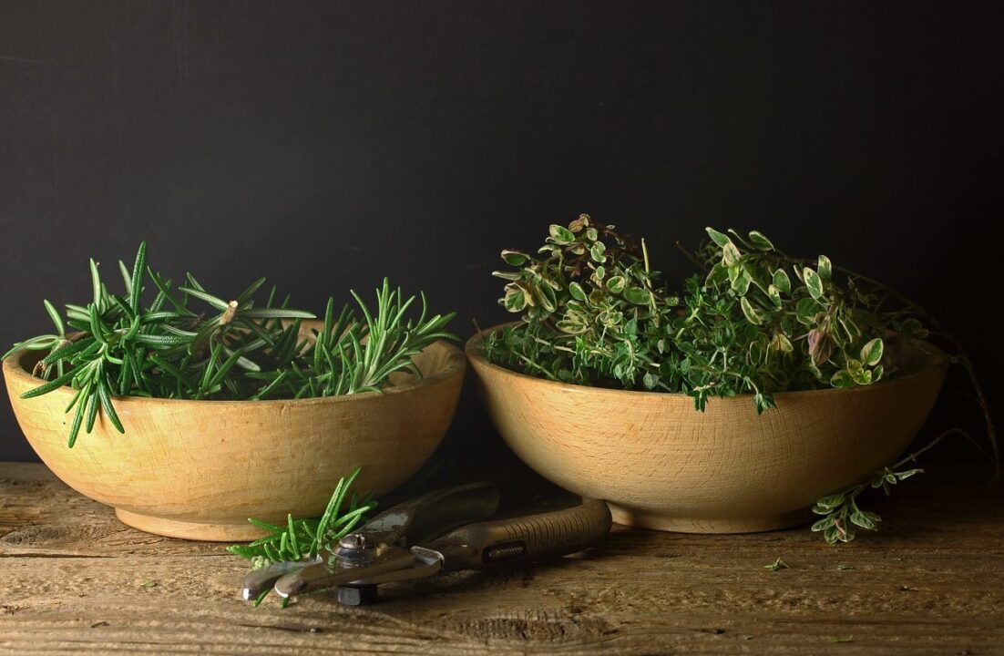 bluesnap herbs
