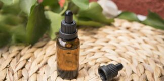Bylinkové tinktury: Které bylinky se tradičně zpracovávají na podzim? erin hinterland cbd oil