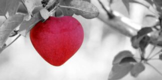 ronymichaud apple
