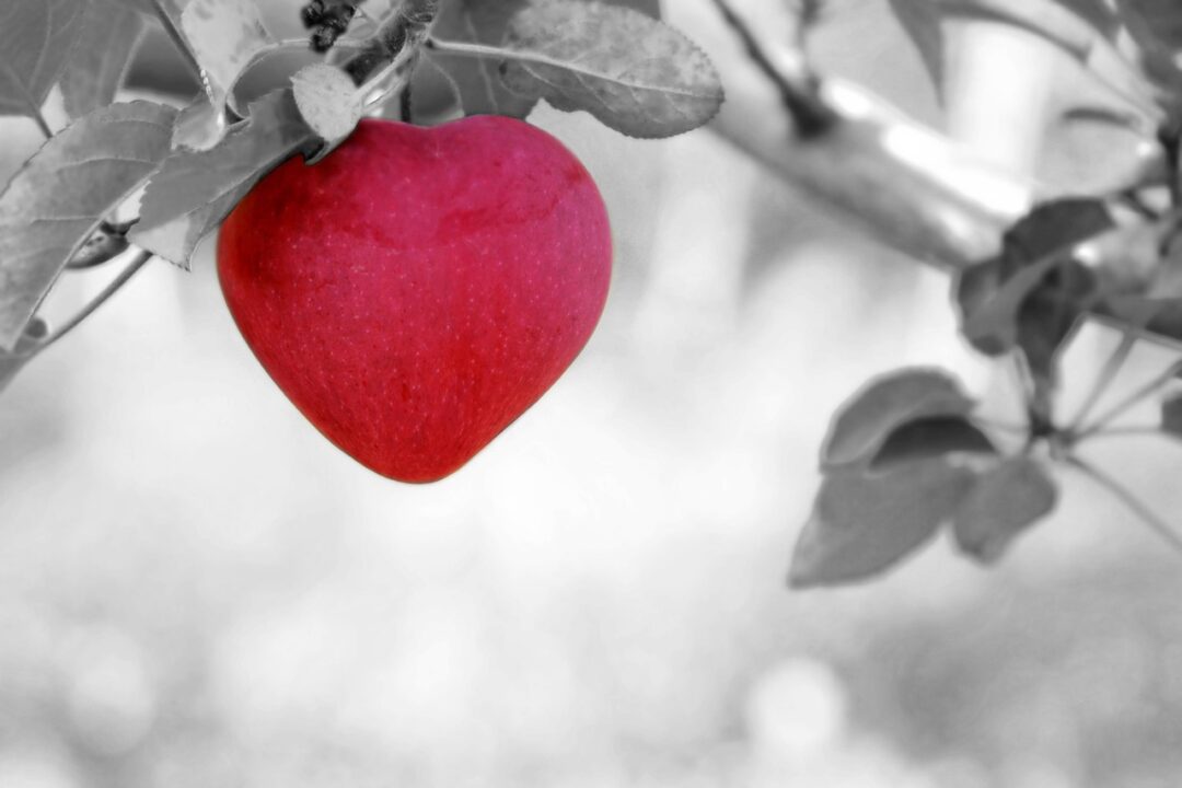 ronymichaud apple
